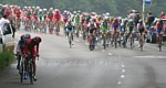 Das Feld w�hrend der Tour de Luxembourg 2008