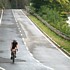Cliquez sur une image pour l'agrandir