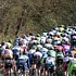 The Ronde van Vlaanderen is marked by numerous small, but steep climbs 